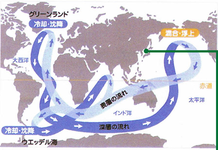 日本周辺の海水の大循環