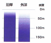 海中の明るさの比較