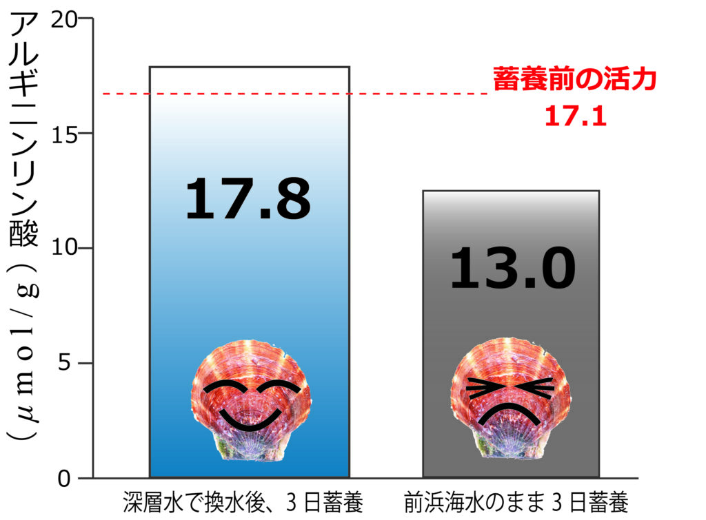 深層水運搬で活魚の活力が回復する研究結果